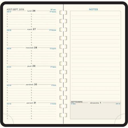 Exacompta 17822E – Nachfüllpack Taschenkalender Espace 17S Spiralbindung 17,5 x 9 cm Wochenkalender Januar bis Dezember 2023 – zufällige Farbe