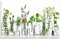 ARTLAND Spritzschutz Küchenrückwand Küche Herd Glas mit Motiv 80x50 cm Desgin Modern Kräuter Pflanzen Blumen Basilikum Lavendel Gewürze H9KE