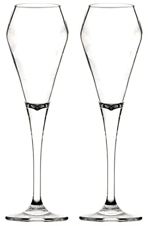 Premium Plastic Champagne Flutes - Polycarbonate Plastic (Pack of 2)