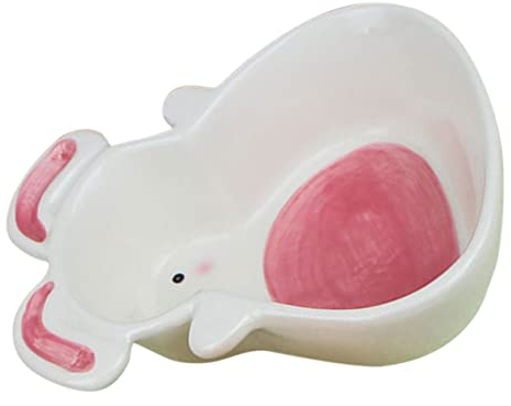 Toyvian Ceramic Bowl Snack Bowl Saucers Bowl Fruit Salad Plate Cereal Ramen Bowl Pasta Rabbit Food Supplies Noodles Soup Bowl Egg Basket Ceramic Mixing Bowls Cake Pan Carrot Child Ceramics