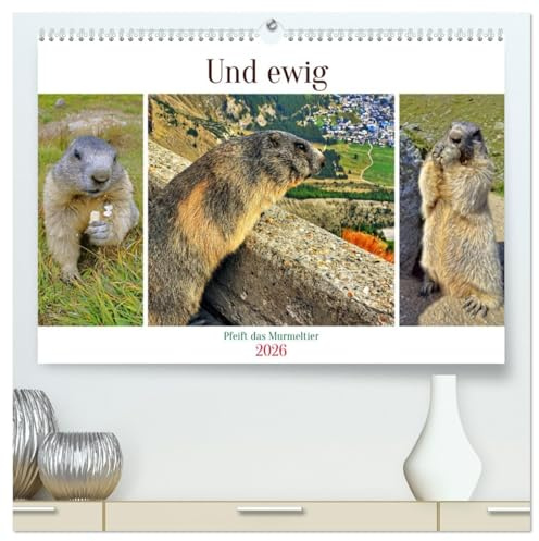 Und ewig pfeift das Murmeltier (hochwertiger Premium Wandkalender 2026 DIN A2 quer), Kunstdruck in Hochglanz: Niedliche Alpenbewohner mit einem unverkennbaren Pfeifen (CALVENDO Tiere)
