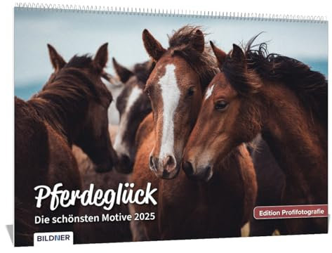 Pferde Kalender 2025 Pferdeglück! Die schönsten Pferdemotive und Aufnahmen 2025: Hochwertiger Wandkalender DIN A3 quer / Kalender / Tierkalender / Pferdekalender – Edition Profifotografie