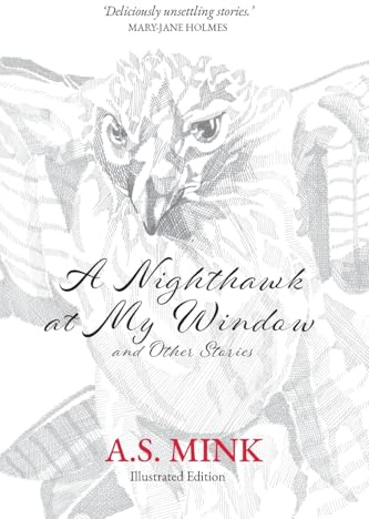 A Nighthawk at My Window and Other Stories (Illustrated Edition): Deliciously unsettling stories