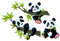 PPS. Imaging Fenstersticker Fensterfolie Fensterbild Pandabären Set HxB: 97 x 145cm