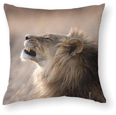 43 x 43 cm große Kissenbezüge, Wildtier-Löwe in Afrika, Stuhlkissen, Sofakissen, Sitzkissen, Bett-Kissenbezug