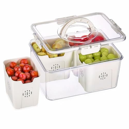 Hejo Fruit Storage Containers for Fridge, Fridge Storage Containers with Handle, Drainable Fruit Container with 4 Removable, Fresh Food Containers for Snacks, Vegetables, Salad, Picnic