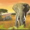 YöL Orange Africa Border Wallpaper - Safari Wildlife Sunset Savannah - Realistic Illustrative - Paste The Paper