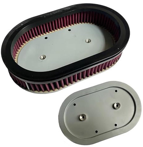 YUNJMYL Elemento di Pulizia del Filtro dell'Aria di Aspirazione per Motociclette per H&Arley per D&avidson XL883 XL1200 Sportster Forty-Eight XR1200 HD-0900