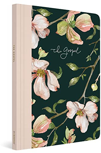 ESV Prayer Journal: 30 Days on the Gospel (Paperback)