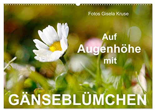 Auf Augenhöhe mit Gänseblümchen (Wandkalender 2026 DIN A2 quer), CALVENDO Monatskalender: Den unverwüstlichen Wiesenblumen, die selbst Schnee und Eis trotzen, ins Gesicht geschaut (CALVENDO Natur)