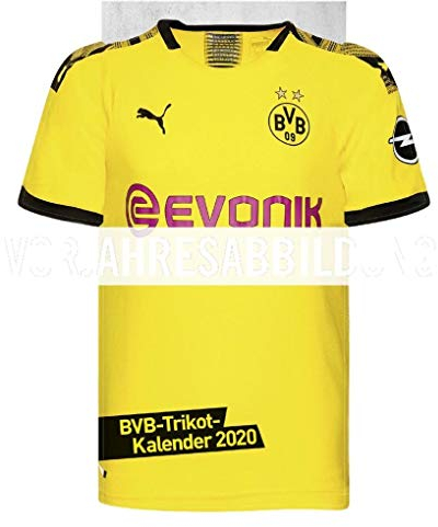 Borussia Dortmund Trikotkalender. Wandkalender 2020. Monatskalendarium. Spiralbindung. Format 34 x 42 cm