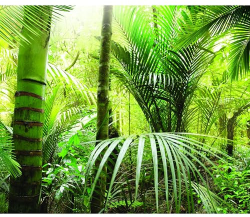 decomonkey - Papier Peint Panoramique Nature 200x140 cm - Décoration murale moderne – Tapisserie décorative pour chambre salon - Des arbres jungle forêt feuilles nature paysage