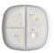 Chicco Assiette à Nourriture pour Bébé et Enfant, Assiette à Nourriture avec 3 Compartiments pour Découvrir de Nouvelles Saveurs, Lavable au Lave-Vaisselle, Microondes, Sans BPA, 12+ Mois, Gris