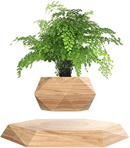 Pot de plante d'air flottant, ornements créatifs d'air de pot de lévitation magnétique, bonsaï de plante en pot de grain de bois suspendu pour bureau, réception, maison