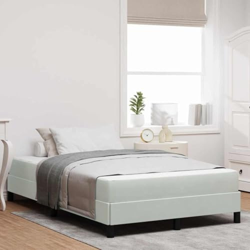 LoogCape Boxspringbett mit Matratze, Hellgrau Stoff, 120x220 cm, modernes Schlafzimmer Möbel, langlebig, 2 Personen