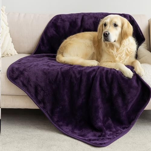 Dreamzie - Plaid Imperméable Chien et Chat - 100x120 cm - Noir | Protection pour Lit, Canapé, Voiture · Polaire Sherpa · Lavable · Couverture Réversible 2 en 1 · Ultra Doux