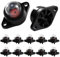 VooGenzek 10 Stück Snap-in Primer Bulb Pump, Vergaser Primer Bulb Pump, Vergaser Primer Pumpe, Kompatibel mit Poulan 530071835 530047213 Gassäge