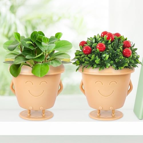 WYWY.Wide 2 Pcs Smiling Face Plant Pots, 3.5 Inch Small Cactus and Succulent Cute Planter Pots for Indoor Outdoor, Novelty Flower Pot with Drainage Hole, Funny Appreciation Gift (Beige)