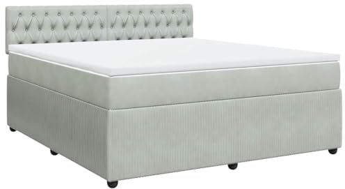vidaXL Boxspringbett mit Matratze Hellgrau 180x200 cm Samt