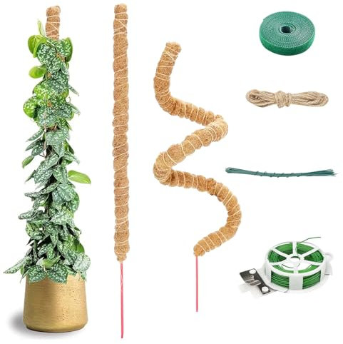Chiluxendo 2 Piezas 60cm Tutores para Plantas Trepadoras Plegable, Tutor Monstera Plant Support, Tutor Musgo, Moss Pole, Poste de Soporte de Plantas, Palo de Coco para Plantar, Ayuda Escalada Monstera