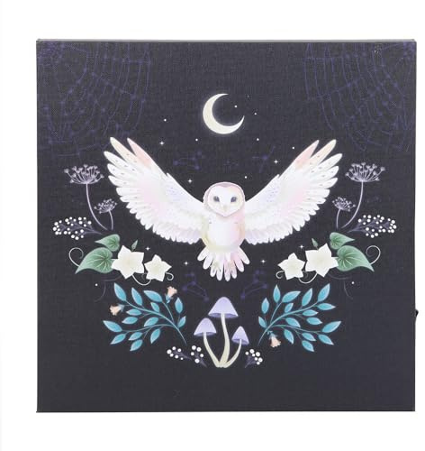 Something Different Night Owl Light Up Canvas