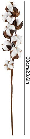 3 Stück getrocknete Baumwollblumen mit Stiel, Natürliche Deko | Rustikaler Charme, perfekt für Bauernhaus, Hochzeit oder Party, vielseitig als Kranz oder Strauß, langlebige Trockenblumen