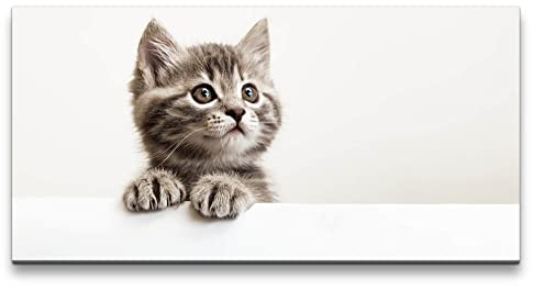 Paul Sinus Leinwandbild 120x60cm Kleines süßes Kätzchen Katze Baby Flauschig Herzlich