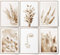 BLCKART Infinity Beige Love Pampasgras Bilder Set Beidseitige Premium Bilderwand Poster Skandinavische Wohnzimmer Deko (M | 6x A4 | 21 x 29,7 cm | ohne Rahmen, BEIGE LOVE | PAMPASGRAS)