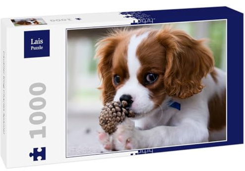 Lais Puzzle Cavalier King Charles Spaniel 1000 Teile