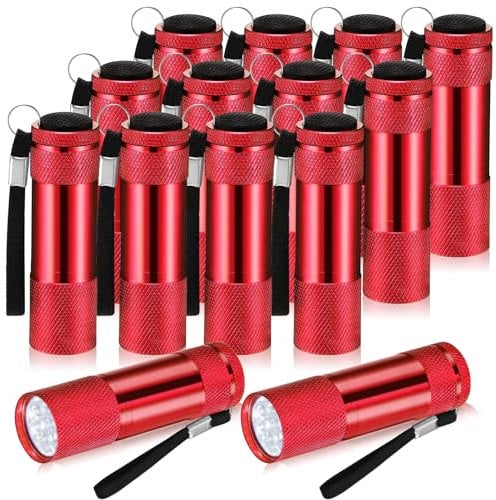 VIHOSE 12 Pcs Mini Flashlights Bulk, Bright Aluminum Handheld Flash Lights with Lanyard, Small LED Flashlights for Kids Night Reading Emergency Hurricane Camping Hiking Party Favors(Red)