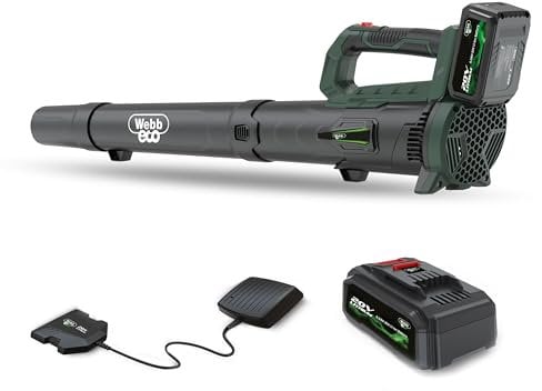 Webb Eco WEV20AB Cordless Leaf Blower, 20V Axial Garden Leaf Blower, Powerful 100MPH, Easy to Use Includes 4ah Battery & Charger