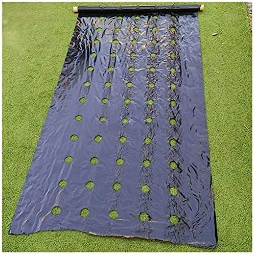 Biologisch abbaubare Mulchfolie zur Unkrautbekämpfung, 0,02 mm dick, für Kleingärten, Gemüsebeetränder, Bodendecker, 0,95 x 40 m mit Löchern