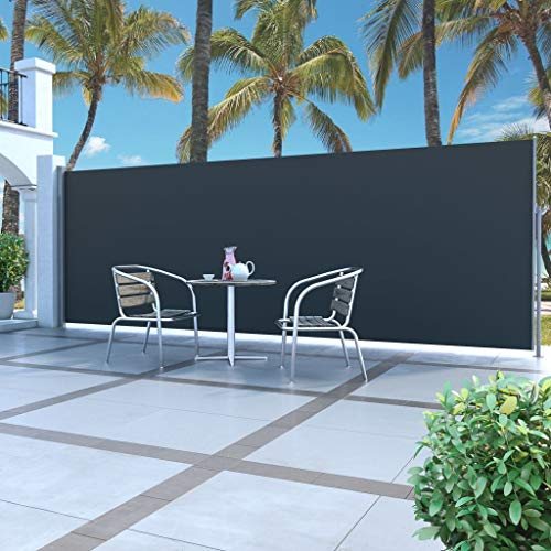 Festnight Seitenmarkise 500 x 160 cm Schwarz | Sichtschutz Sonnenschutz Windschutz Wasserfest | Markise für Garten Balkon Terrasse