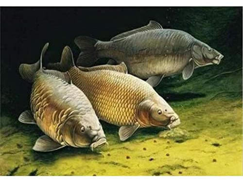 YSCOLOR Diamant Painting Fisch Diamant Malerei By Numbers 5D Full Round Carp Kit Set Diamond Pinting Kits 30x40cm