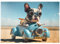 MyPuzzle Lustige Bulldogge fährt Auto - Premium 1000 Teile Puzzle - MyPuzzle Sonderkollektion von Starnberger Spiele