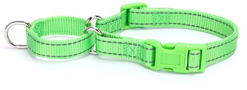haoyueer Reflektierendes Nylon-Martingale-Halsband, robustes Nylon, ausbruchsicheres Martingal-Hundehalsband für große Rassen, Jungen und Mädchen, Hunde zum Spazierengehen, Training