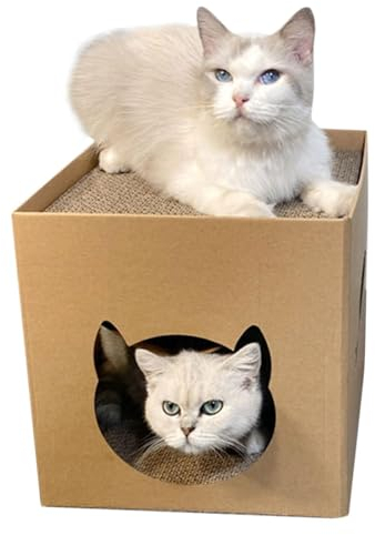 Casetta per gatti in cartone, Letto pieghevole per gatti e gatti in cartone, Casa di cartone per gatti con cuscinetti antigraffio per gatti e cani di piccola taglia carta ondulata