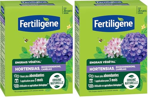 FERTILIGENE FEGHOR650 - Engrais Végétal Hortensias, Rhododendrons, Camélias 650 g - Fleurs plus abondantes -Seulement 1 application en 3 mois -Jusqu'à 26 plantes - Produit 100% naturel avec zéolite