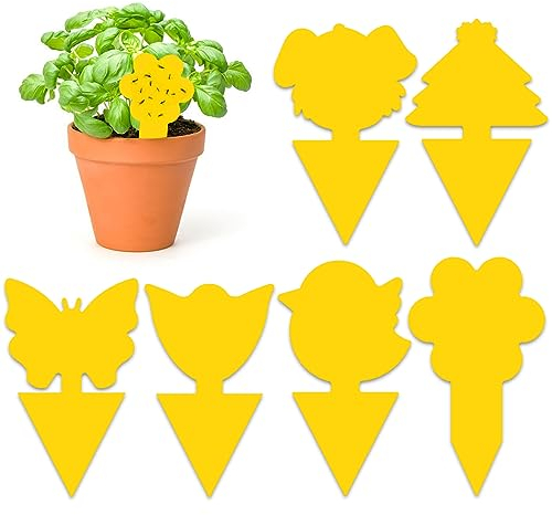 GRTHTATI 60 Pieces Anti Moucherons Interieur - Attrape Moucheron Plantes - Piege a Moucherons Cuisine - Très Efficace et Facile à Utiliser
