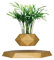 Pot de plantes flottantes - Pot de bonsaï à lévitation ,Pot de plantes à lévitation magnétique, technologie innovante de plantation à lévitation, plantes en pot à lévitation magnétique ( Color : B )
