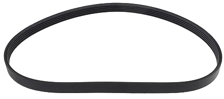 5EPJ556 Courroie d'entraînement pour Lave-linge Compatible avec Whirlpool Compatible avec Kenmore Compatible avec Amana Remplace W10006384 AP6014712 PS11747978
