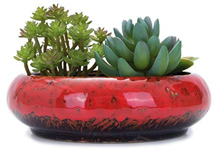 VanEnjoy 18,5 cm große, große, flache Sukkulententen-Übertöpfe aus Keramik, glasiert, mit Drainageloch, Bonsai-Töpfe für den Garten, dekorativer Kaktus-Ständer (rot)