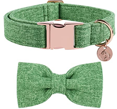 DOGWONG Hundehalsband mit Abnehmbarer Fliege, Grün Haustierhalsband Hundefliege Geschenk für Mädchen oder Jungen Hunde, Bequeme verstellbares Hundehalsband für kleine mittelgroße Hunde