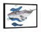 artboxONE Poster mit schwarzem Rahmen 18x13 cm Natur Whale Diver - Bild Humpback Whale deep Dive deep Water