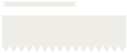 vidaXL Bordures de pelouse 50 Pcs Blanches 100X05X30 cm Plastique Résistant aux UV Bordures de Jardin Installation Facile Bordure extérieure Durable Barrière à Faible Entretien Paysage