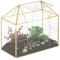 Relaxdays Pflanzenterrarium, Glas & Kupfer, HBT: 27x30x15 cm Deko Glashaus Kakteen & Moos, Glaskasten Fensterbank, gold