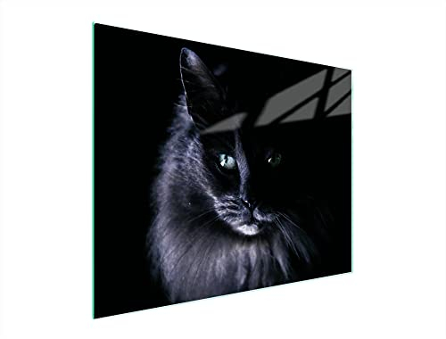 DarHaus Planche à découper en verre Ceranfeld 1 pièce 52 x 40 cm, plaque de découpe en verre, protection anti-éclaboussures, plaque en verre universelle, cuisine, Chat Noir