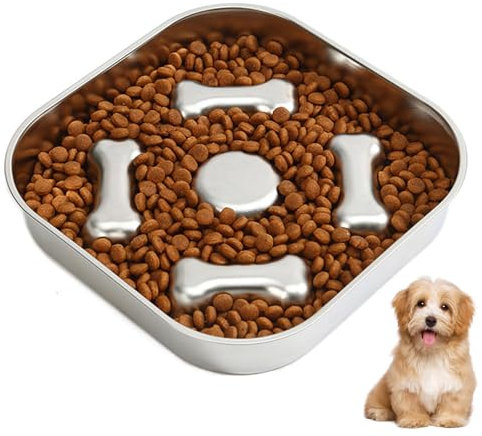 Gamelle Anti Glouton Chien Inoxydable, Gamelle pour Chien Anti Glouton, Gamelle d'alimentation Lente pour Chien, Animaux de Petite Taille, 21x21cm