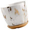 YARNOW Pot De Fleurs en Céramique Marbré pour Intérieur Idéal pour La Maison Ou Le Bureau 18 X 18 X 15 Cm Contenant pour Bonsaï