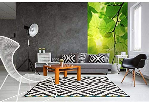Vlies Fototapete GRÜNE BLÄTTER 150 x 250 cm | Vliestapete - Wandtapete inklusive Kleister | PREMIUM VLIES QUALITÄT